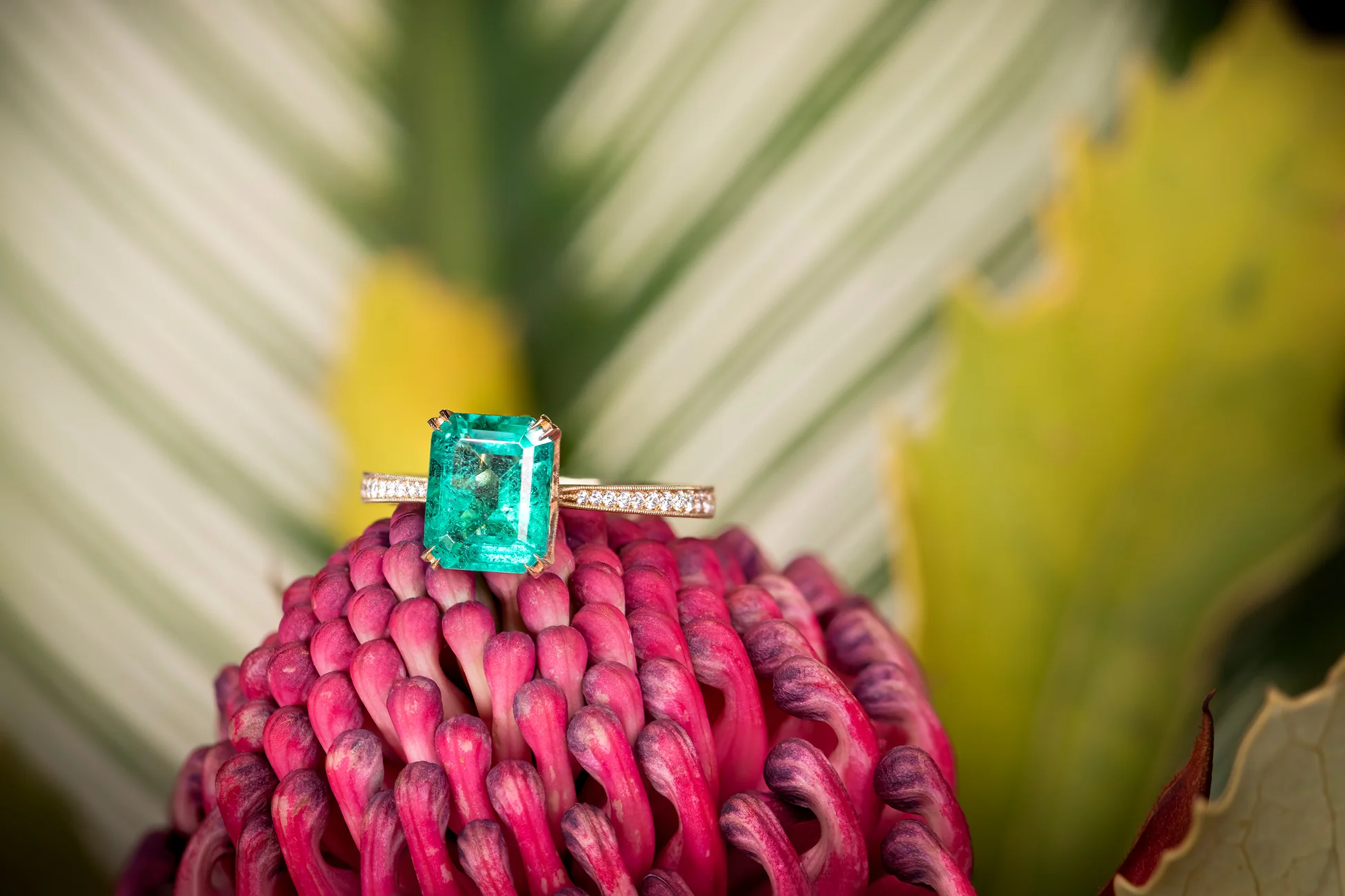 Timeless Elegance, Expertly Crafted